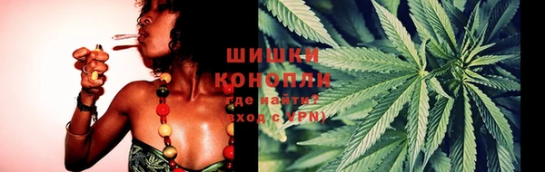 ГАЛЛЮЦИНОГЕННЫЕ ГРИБЫ Алексин